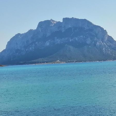 Aria Di Vacanza - Molara Loiri Porto San Paolo Exterior foto