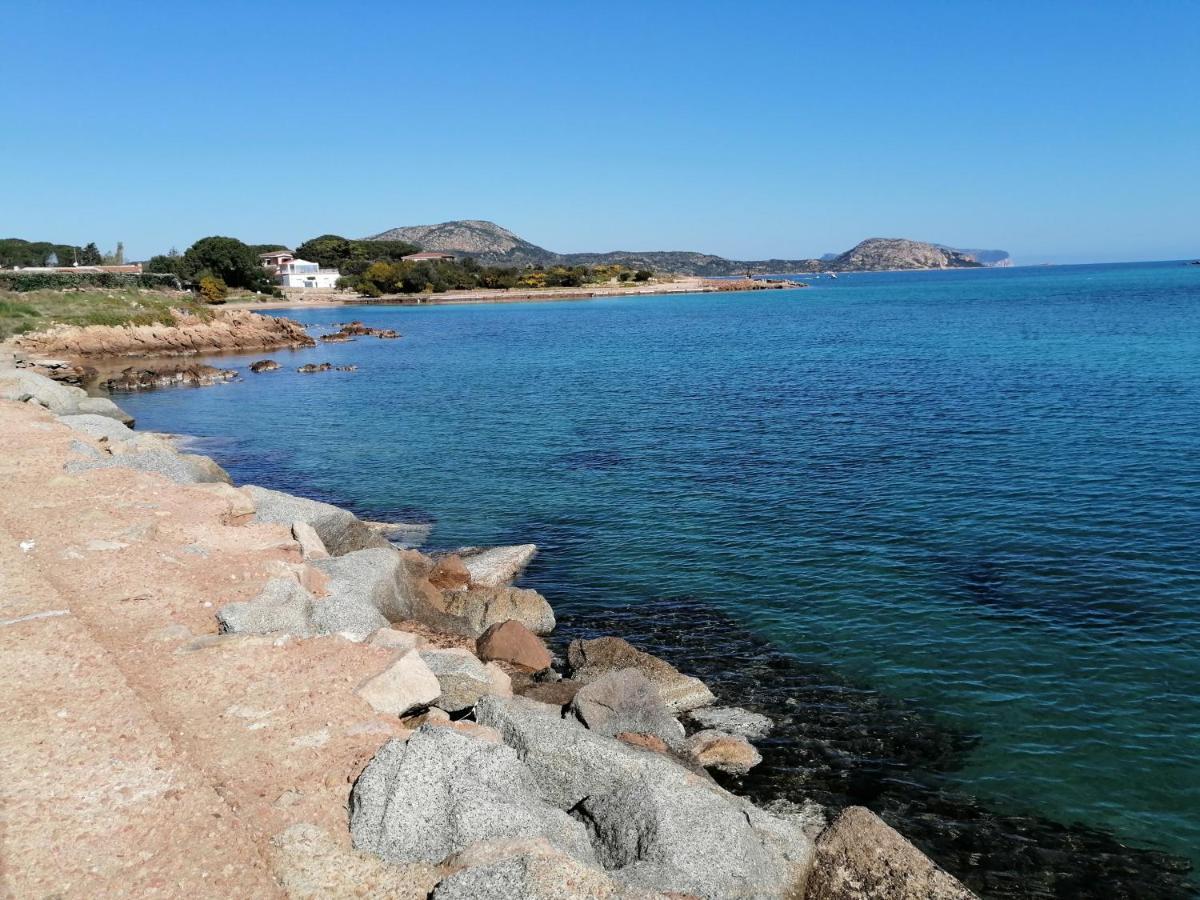 Aria Di Vacanza - Molara Loiri Porto San Paolo Exterior foto